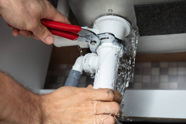 Best Emergency water extraction  in Wilsons Mills, NC