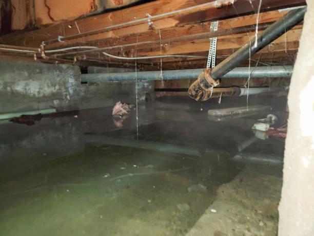 Wilsons Mills, NC Water damage restoration Pros