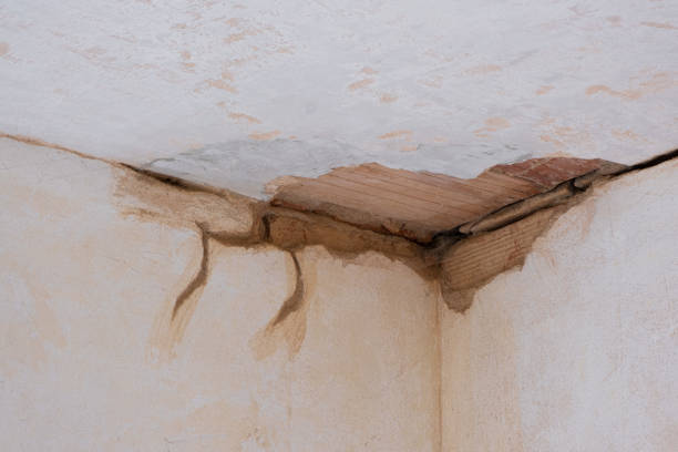 Best Water damage contractors near me  in Wilsons Mills, NC