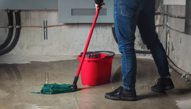 Best Professional water damage repair  in Wilsons Mills, NC