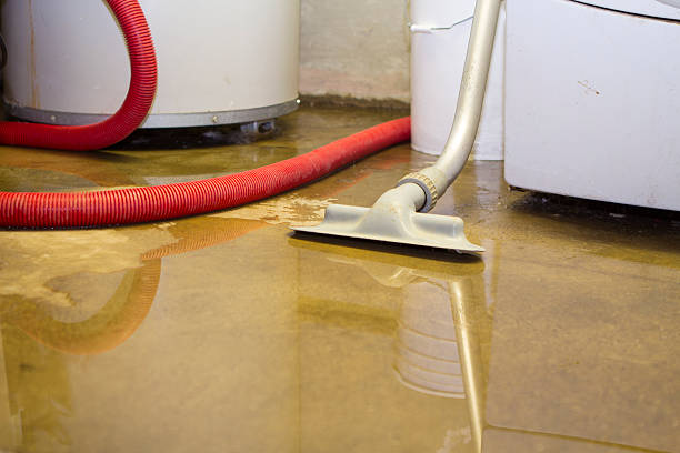 Best Water damage restoration near me  in Wilsons Mills, NC