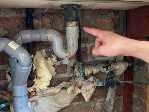 Best Professional water damage repair  in Wilsons Mills, NC