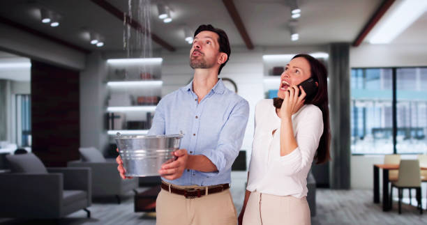 Best Flooded house restoration  in Wilsons Mills, NC