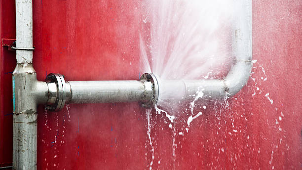 Best 24-hour water damage restoration  in Wilsons Mills, NC